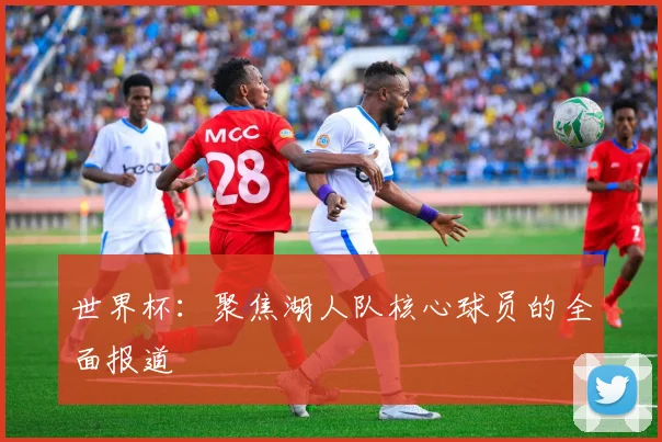 世界杯：聚焦湖人队核心球员的全面报道