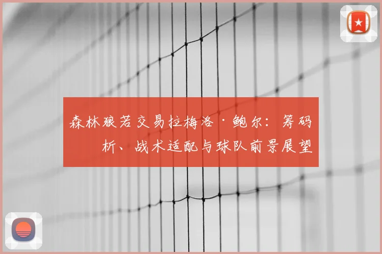 森林狼若交易拉梅洛·鲍尔：筹码分析、战术适配与球队前景展望